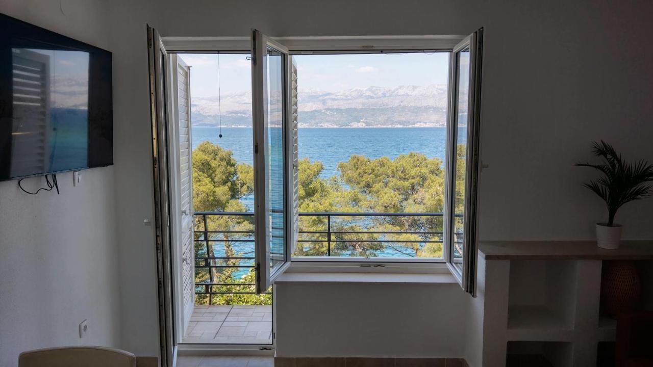 Apartment Mira